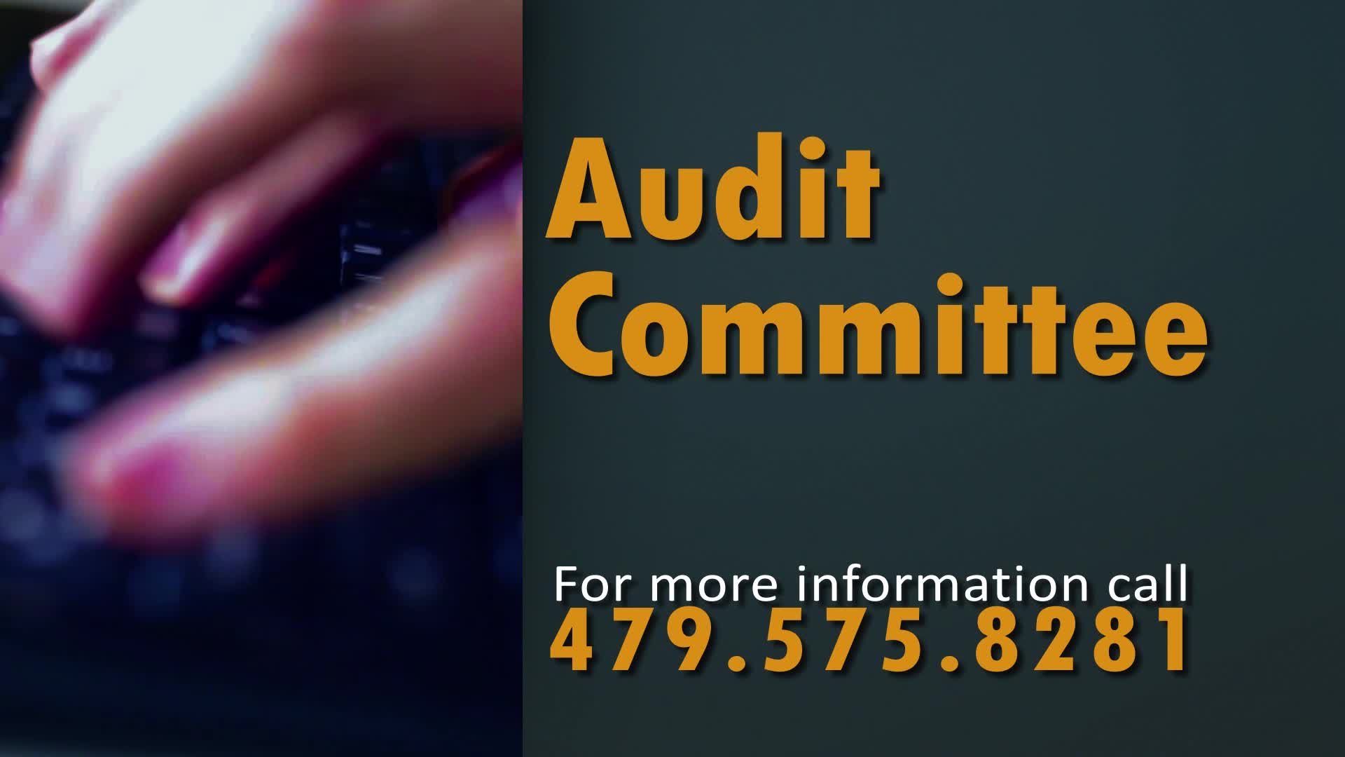 Thumbnail image for Audit Committee